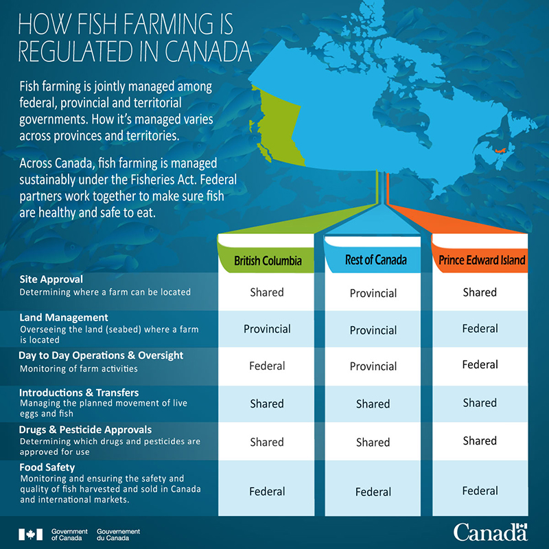 Figure 1: Infographic: How fish farming is regulated in Canada