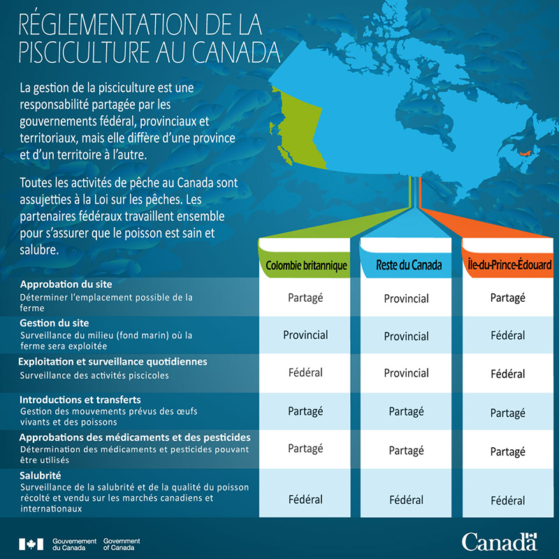 Figure 1 : Infographie : Réglementation de la pisciculture au Canada