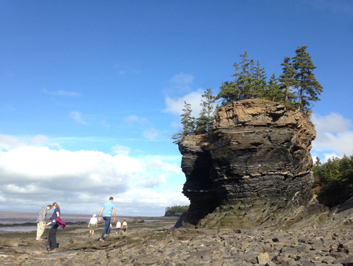 Logan (à l’extrême gauche) à la recherche de roches lors de l’excursion de la CGCA à l’anse Mutton (Bramber, Nouvelle Écosse; photo : Jenna Higgins).