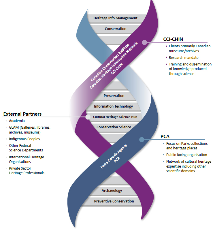 Figure 10: Diagrammatic representation of the CHS hub science disciplines and focus of collaborations and partnerships