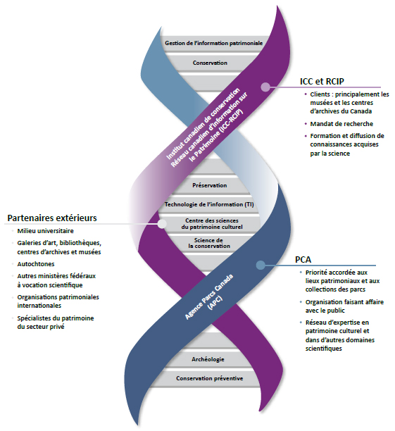 Figure 10 : Représentation schématique des disciplines scientifiques du groupe des Sciences du patrimoine culturel et de l’orientation des collaborations et des partenariats.
