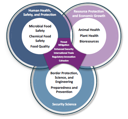 Figure 11: Diagrammatic representation of the RSS hub themes showing major outcomes at the intersectoral and multidisciplinary intersection