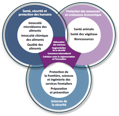 Figure 11 : Représentation schématique des thèmes couverts par le groupe de la SRSS ainsi que les principaux résultats intersectoriels et multidisciplinaires.