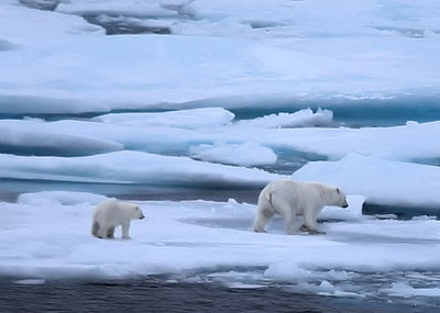 Photo de Hans Böggild