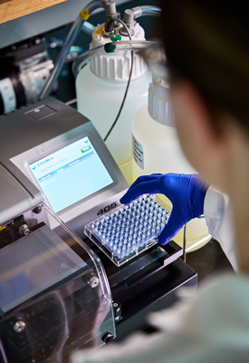 Photo: Un chercheur scientifique procède à des analyses au Laboratoire national de microbiologie du Canada