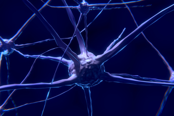 Déchiffrer le mystère des prions en étudiant les neurones