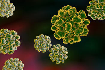 Souche d'hépatite rare infecte un humain