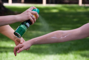 Examen des mesures de lutte contre le virus Chikungunya