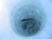 Surveillance et recherche environnementales