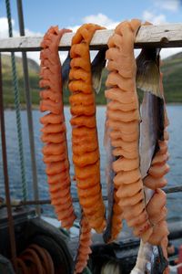 Surveillance et recherche communautaires 