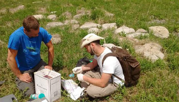 Rouleau, Lamarre / Dans les coulisses de la scène scientifique