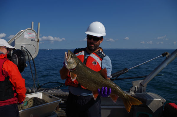 Les scientifiques d’ECCC déterminent la concentration d’HBCD chez les poissons d’eau douce dans l’ensemble du Canada.