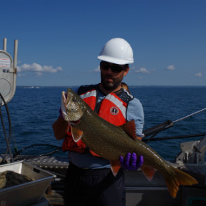 Surveillance des polluants chez les poissons
