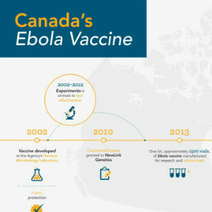 Nouveau vaccin prometteur contre le virus Ebola