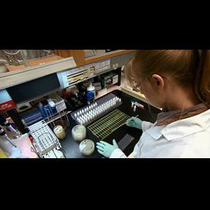 Enquête sur les éclosions de maladies d'origine alimentaire