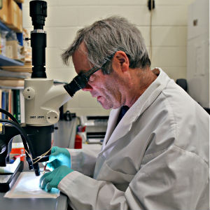 Tic-tac : le temps presse par rapport à la maladie de Lyme et aux changements climatiques