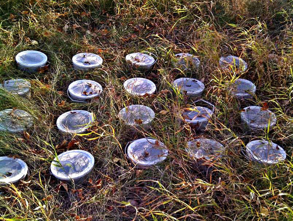 « Appartements pour tiques » sur le terrain