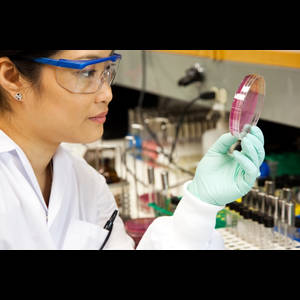 Vérification des antécédents bactériens : les suspects du système de sécurité alimentaire