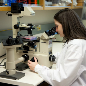 Quand les supermicrobes se défendent : la gonorrhée résistante aux antimicrobiens, un mal réel