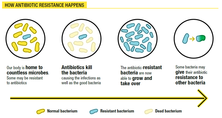 Photo: Diagram from the Chief Public Health Officer of Canada's Spotlight Report 2019: Preserving Antibiotics Now and Into the Future