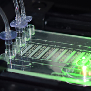 Tout petit labo, très grandes percées