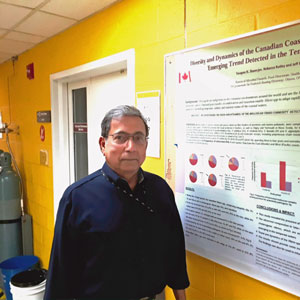 Sous la surface de la mer