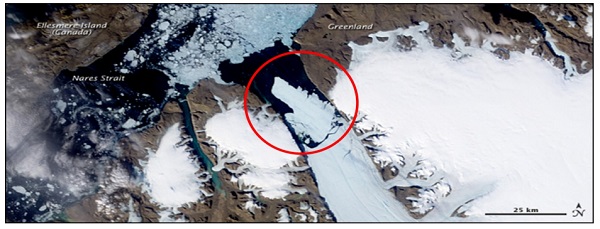 Image MODIS de la NASA montrant une île de glace de 300 km<sup>2</sup> ayant vêlé du glacier Petermann en 2010. L’image a été prise le 5 août 2010, et Crawford en a fait le montage en 2013.