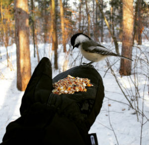 Michelle interagissant avec un animal de l’endroit.