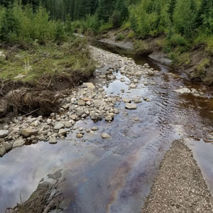 Déversements d’hydrocarbures : Activités scientifiques d’ECCC