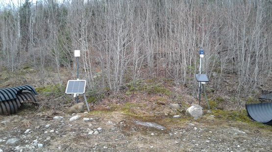 Des panneaux sont installés au sol dans une forêt.