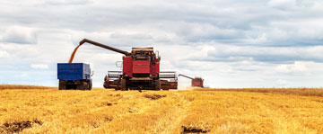 Équipement agricole sur des terres agricoles