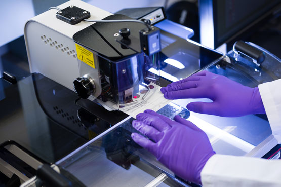 Scientifique qui effectue l’analyse de gouttes de sang séché.