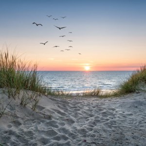 Profitez des plaisir de l’eau : vérifiez la qualité de l’eau à la plage