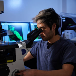 Surveillance de la grippe aviaire